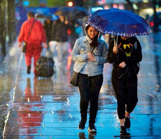 What Is the Rainiest City in the US