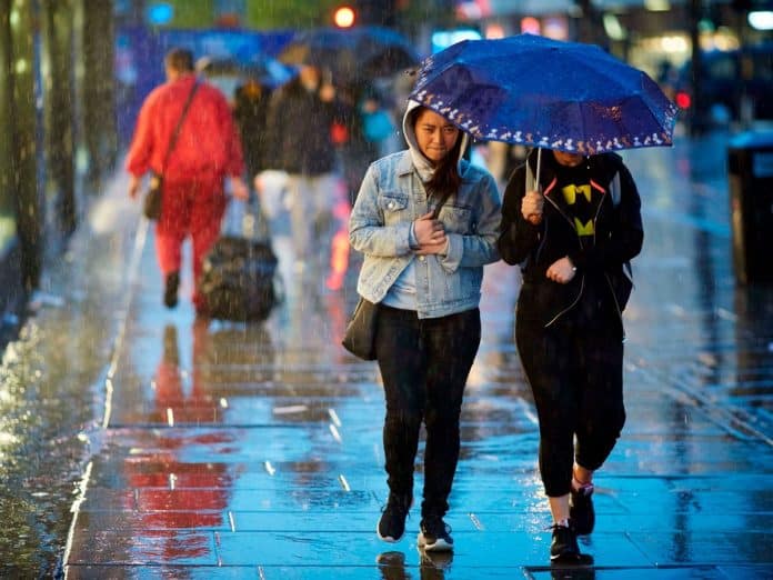 What Is the Rainiest City in the US