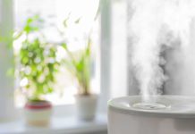 How to Clean Mold Out of Your Humidifier