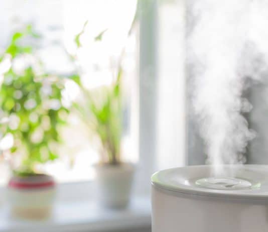 How to Clean Mold Out of Your Humidifier
