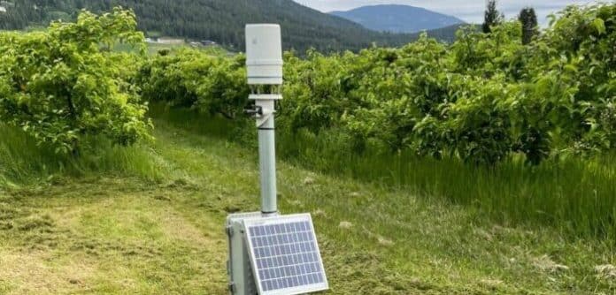 How Weather Stations Can Help Farmers