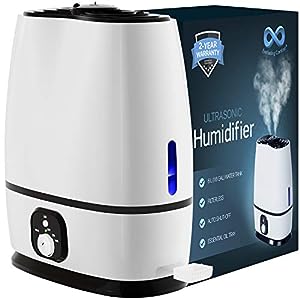 8 Best Large Room Humidifier Reviews