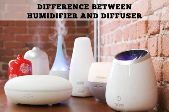 Diffuser vs. Humidifier: What is the Difference? 