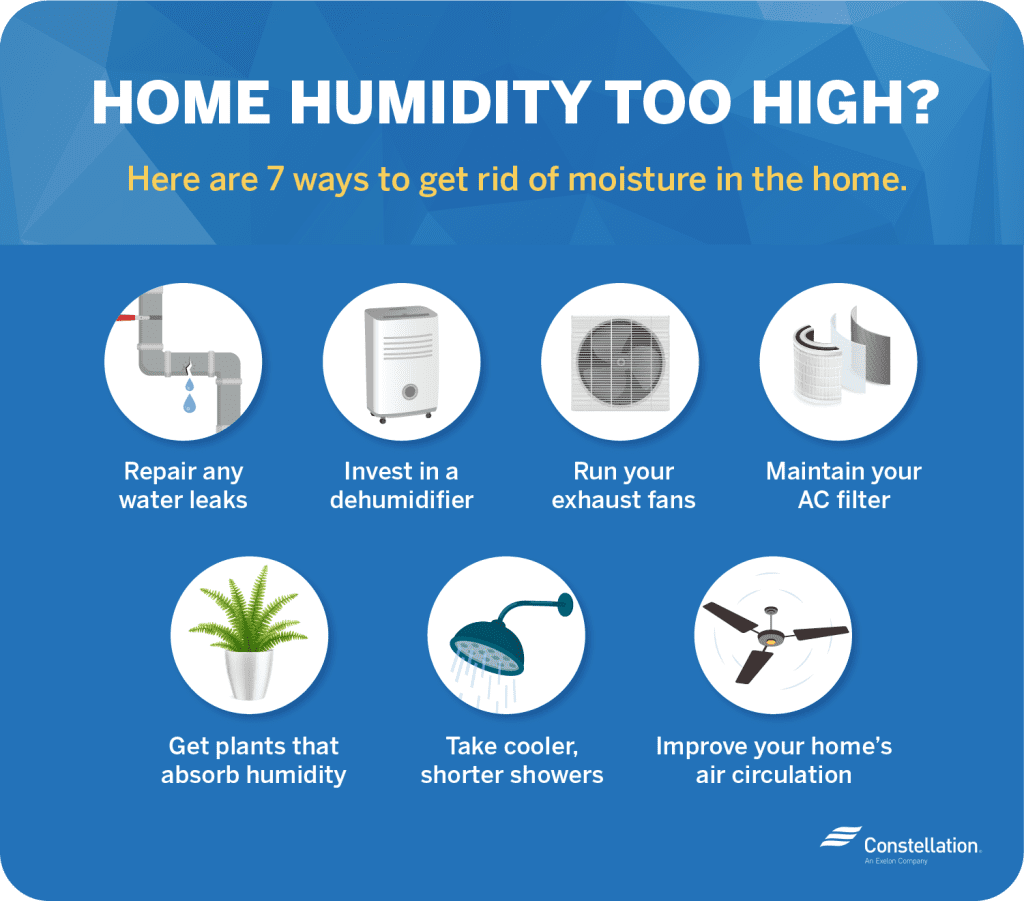 How to Lower Humidity in Your House: 10 Ways to Reduce Humidity 