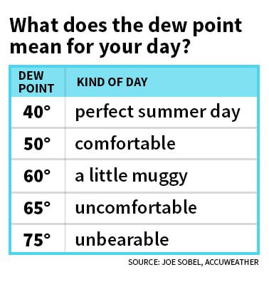 What Does Humidity Percentage Mean and What Is High Humidity? 