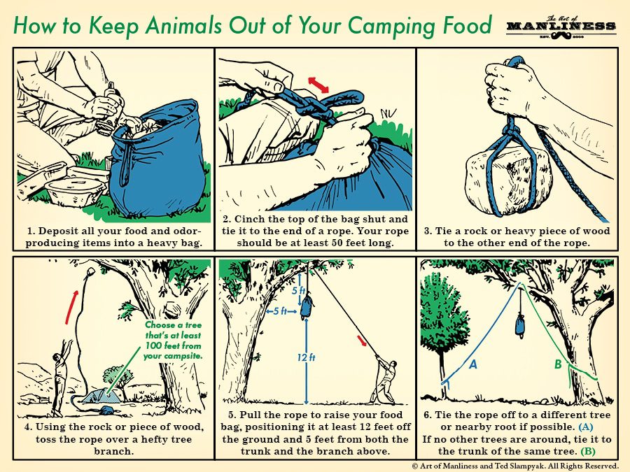 Should I Hang My Food While Camping?