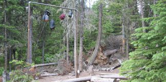 should i hang my food while camping 3