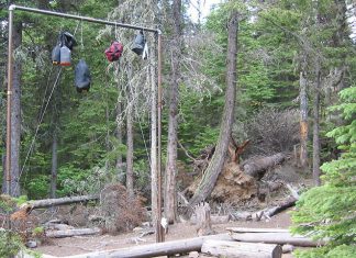 should i hang my food while camping 3