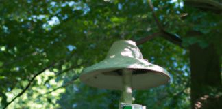should weather stations be in sun or shade