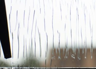 what does 50 chance of rain mean