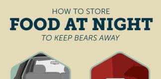 where do you put food at night when camping 4