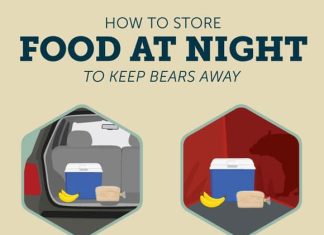 where do you put food at night when camping 4