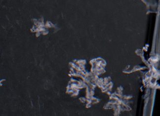 can home weather stations measure snowfall