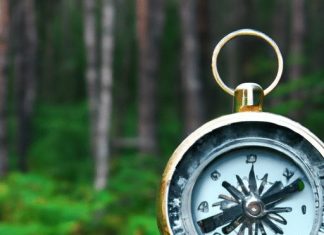 choosing the best national park for your camping trip