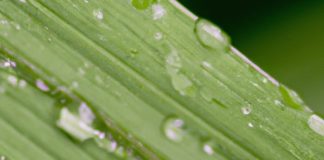 how accurate is home weather station humidity measurement