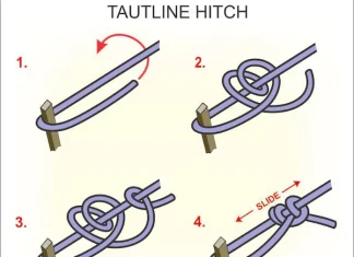 Essential Camping Knots