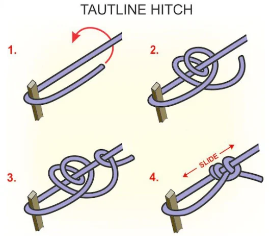Essential Camping Knots