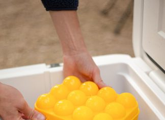 coghlans egg holder 2
