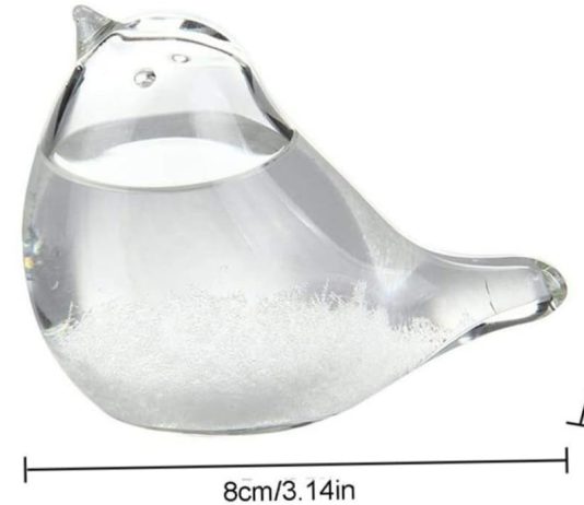 weather station glass storm glass weather forecaster bird shape liquid barometer weather predictor for home decor gift 1 1