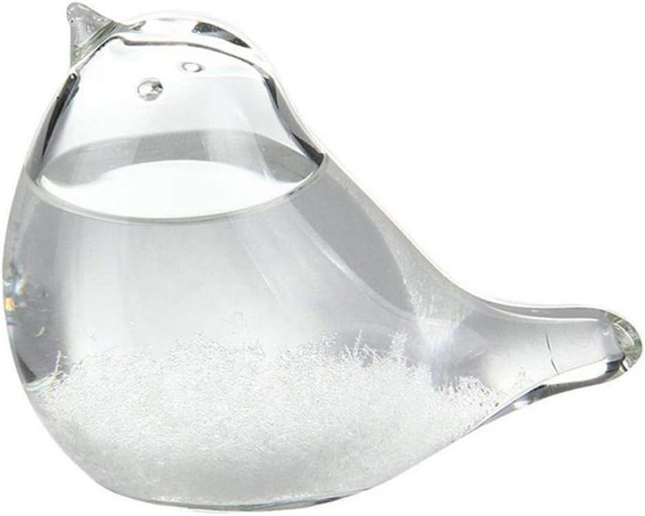 Weather Station Glass, Storm Glass Weather Forecaster Bird Shape Liquid Barometer Weather Predictor for Home Decor Gift